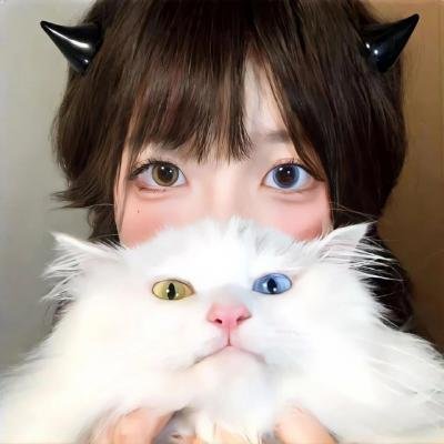 单人房、日照一般、附天使。